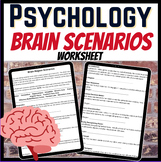 Brain Region Scenarios Worksheet for Psychology Class  Des