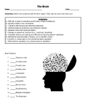 Brain Regions Matching Worksheet for Psychology