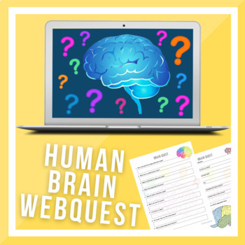 Preview of Brain Research WebQuest!!