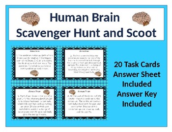 Preview of Brain Scavenger Hunt and Scoot Task Cards - NEW!