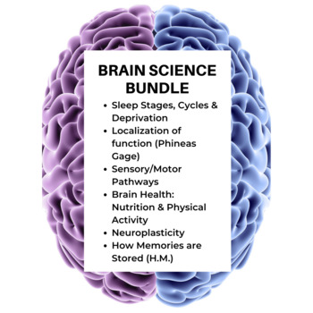 Preview of Brain Science Bundle: Biological Bases of Behavior for AP Psychology or Science