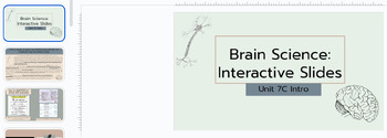 Preview of Brain Science Introduction, Interactive Slides