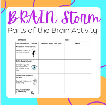 Preview of Brain Storm - Parts of the Brain
