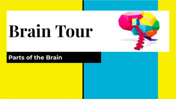 Preview of Brain Tour Guided Notes