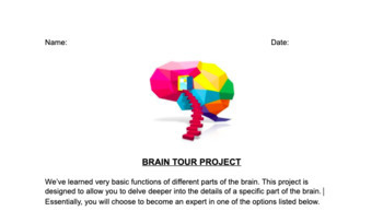 Preview of Brain Tour Project