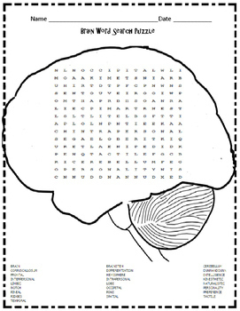 brain word search puzzles by fun reading and writing resources tpt