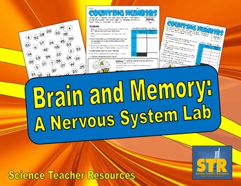 Preview of Brain and Memory: A Nervous System Lab