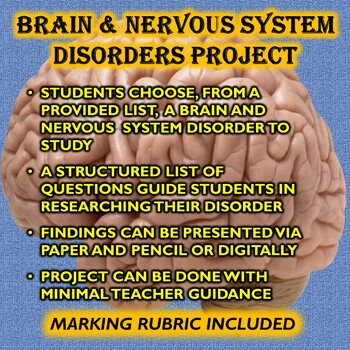 Preview of Brain and Nervous System Disorders Project (Human Anatomy and Physiology)