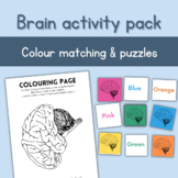 Bilingual Brain colour and shape match for preschool and y