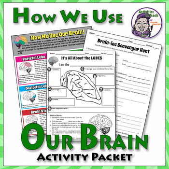 Preview of Human Brain: How We Use Our Brains Activity Packet.