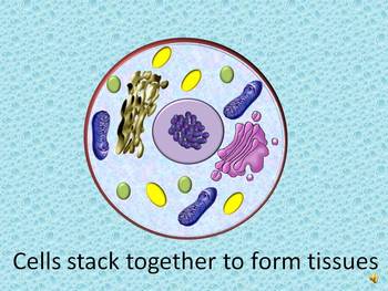 Preview of BrainBlast cells powerpoint and worksheets resource