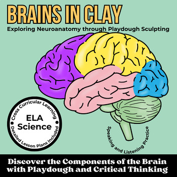 Preview of Brains in Clay: Interactive Brain Anatomy Activity for Middle School
