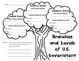 Branches and Levels of Government Tree Graphic Organizer