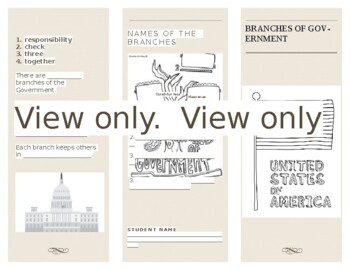 Preview of Branches of Government