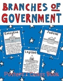 Branches of Government Posters or Book Legislative, Execut
