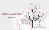 Branches of Government Prezi Lesson