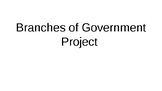 Branches of Government Project