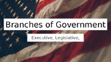 Branches of Government Slides