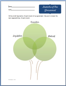 Preview of Branches of Government Tree Graphic Organizer