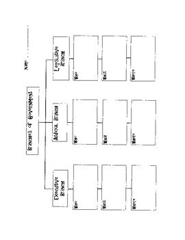 Preview of Branches of Government Tree Map Graphic Organizer