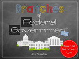 Branches of Government and How a Bill Becomes a Law U.S Hi