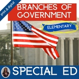 Branches of Government and Citizenship for Special Educati