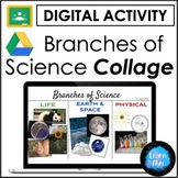 Branches of Science Digital Collage Project ⭐ Science Acti
