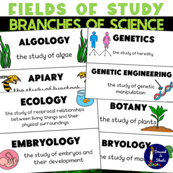Preview of Branches of Science Flashcards