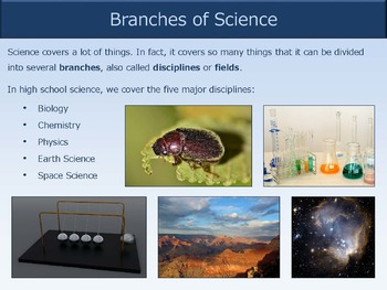 branches of science presentation by good science worksheets tpt