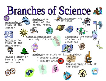 Preview of Branches of science graphic organizer