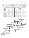Branching Tree Diagram Extended Practice Avitities
