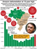 Brazil’s Amazon deforestation at highest level since 2006