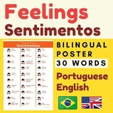 Brazilian Portuguese FEELINGS Sentimentos