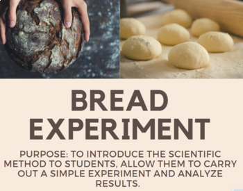 the bread experiment