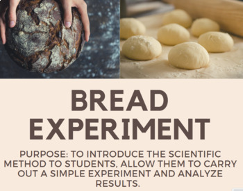 Preview of Bread Experiment