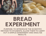 Bread Experiment