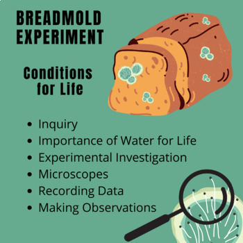 bread mold experiment observations
