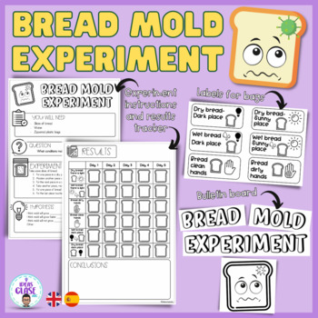 Preview of Bread mold experiment- Bilingual
