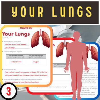 Preview of Breathe In, Breathe Out: Exploring Your Lungs!