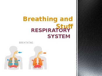 Preview of Breathing and Stuff -- The Respiratory System PowerPoint