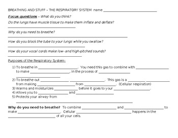 Preview of Breathing and Stuff -- The Respiratory System worksheets