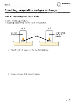 Preview of Breathing, respiration and Gas exchange  worksheet (PowerPoint)