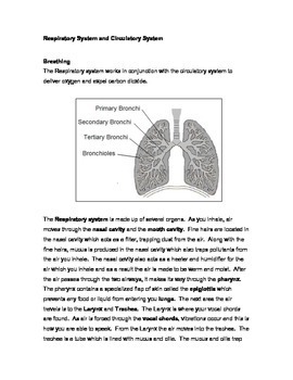 Respiratory System by The STEM Center | Teachers Pay Teachers