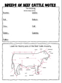 Breeds of Beef Cattle Note Taking Guide