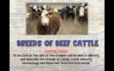 Breeds of Beef Cattle Powerpoint
