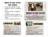 Breeds of Beef Cattle Unit Bundle
