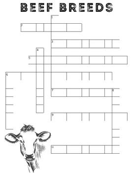 Breeds of Beef Crossword Sketch review by AgriTeacher TPT