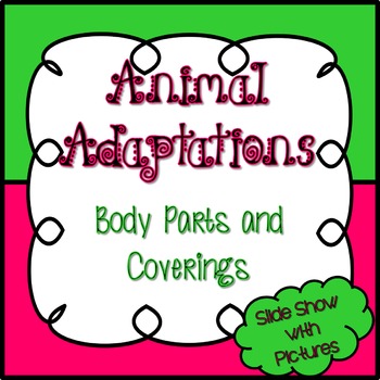 Preview of Science Animal Adaptations - Body Parts and Coverings