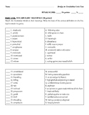 Bridge to Terabithia Unit Test