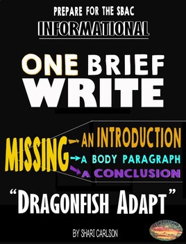 Preview of Brief Writes - 1: DRAGONFISH ADAPT - Missing the INTRODUCTION